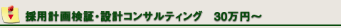 採用計画検証・設計コンサルティング